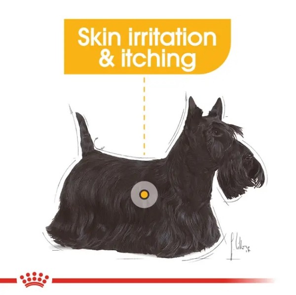 Royal Canin Dermacomfort Loaf - Пълноценна мокра храна в пауч за кучета, склонни към раздразнена и сърбяща кожа